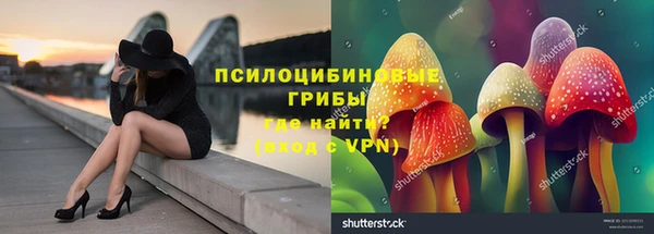 мдма Пересвет
