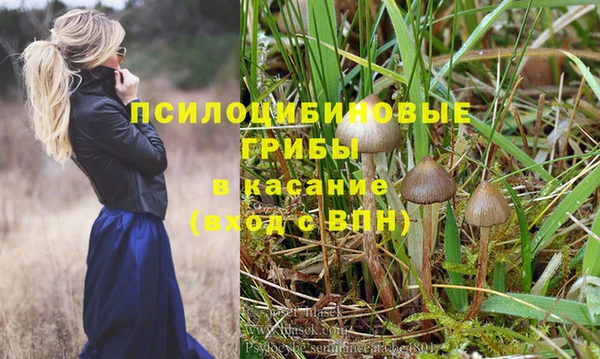 молекула духа Абдулино