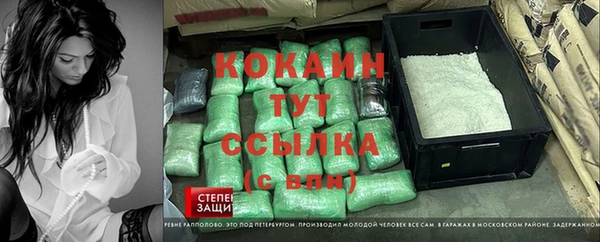 индика Алексеевка